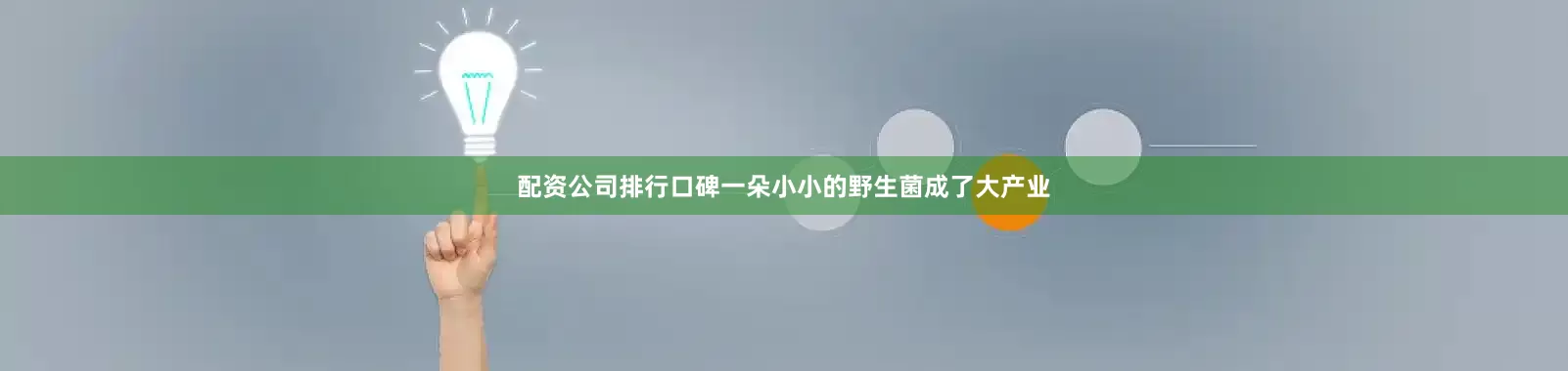 配资公司排行口碑一朵小小的野生菌成了大产业