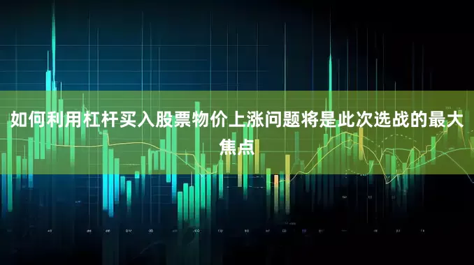 如何利用杠杆买入股票物价上涨问题将是此次选战的最大焦点