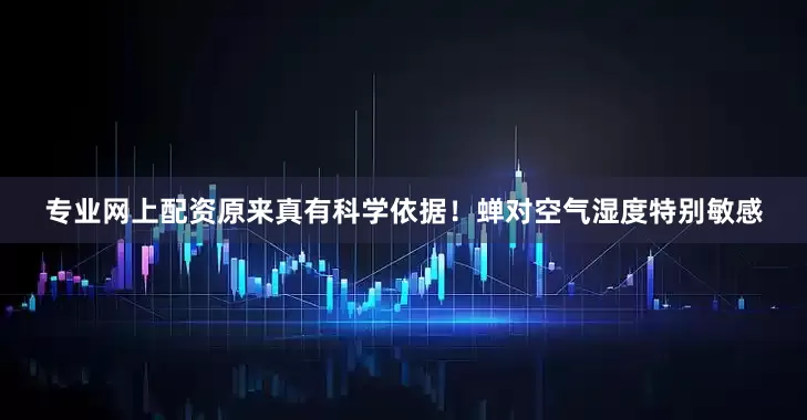 专业网上配资原来真有科学依据！蝉对空气湿度特别敏感