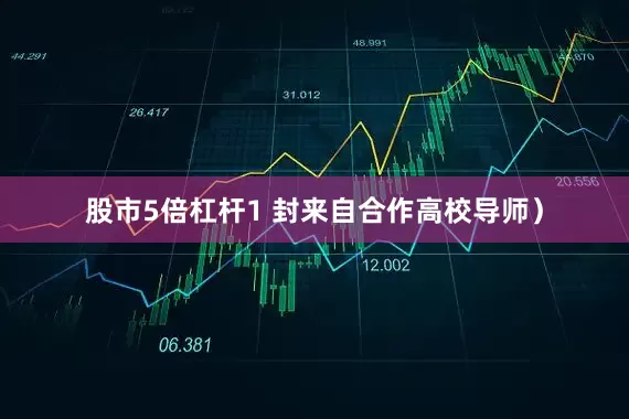股市5倍杠杆1 封来自合作高校导师）