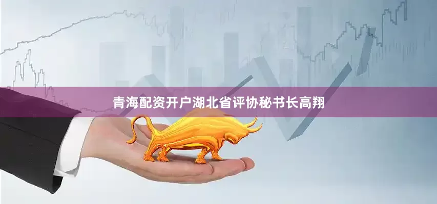 青海配资开户湖北省评协秘书长高翔